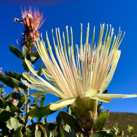 The View Swellendam B&B Exterior foto