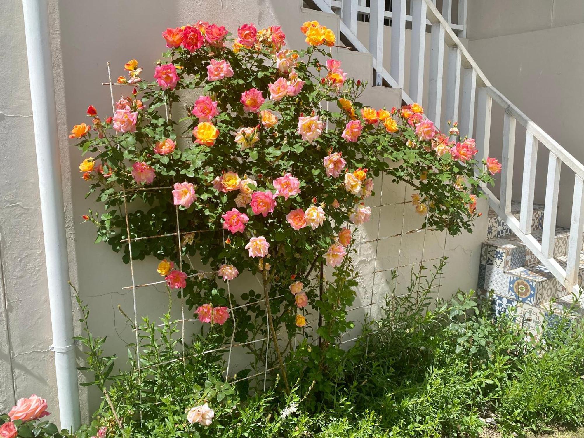 The View Swellendam B&B Exterior foto