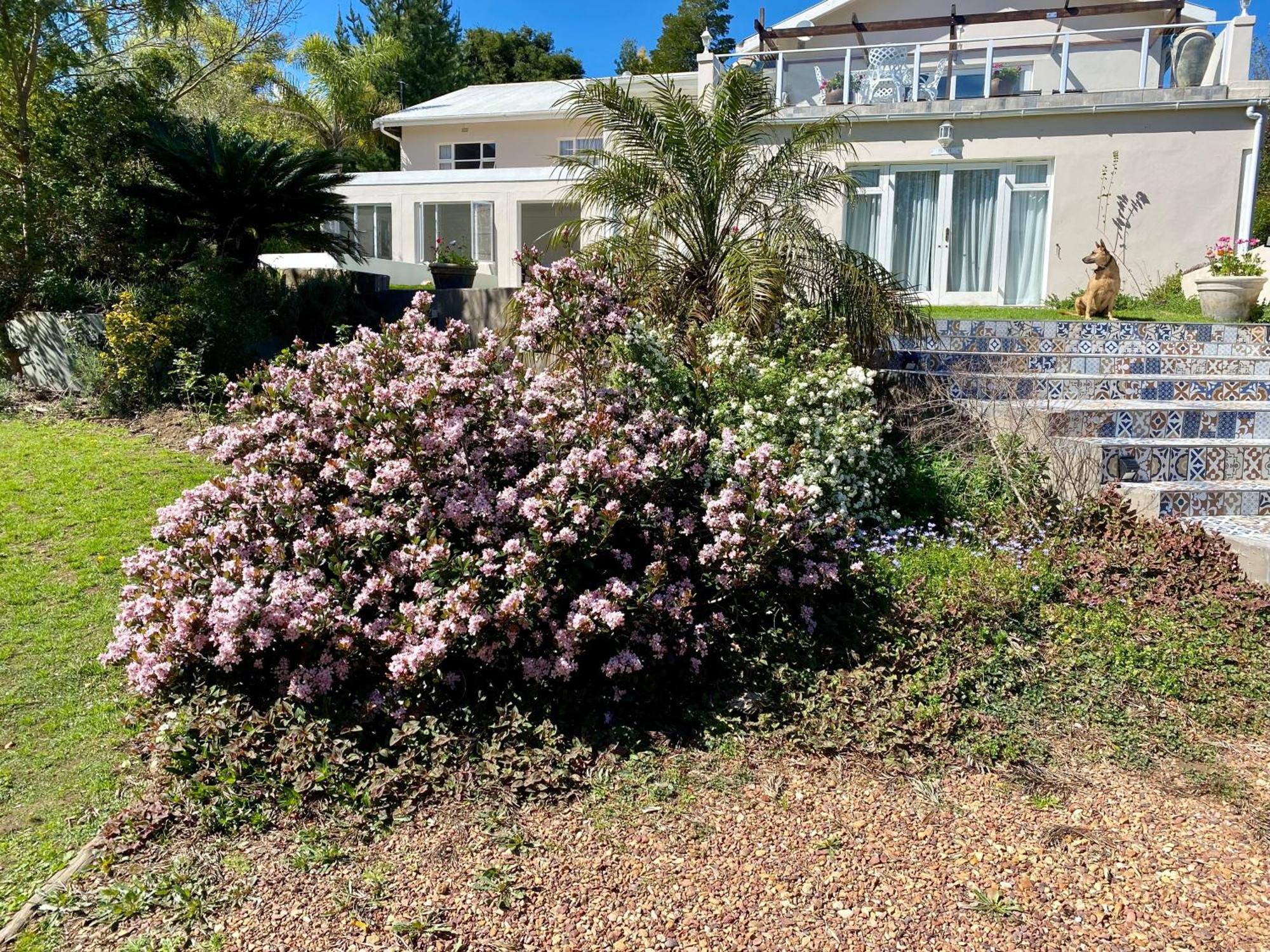 The View Swellendam B&B Exterior foto
